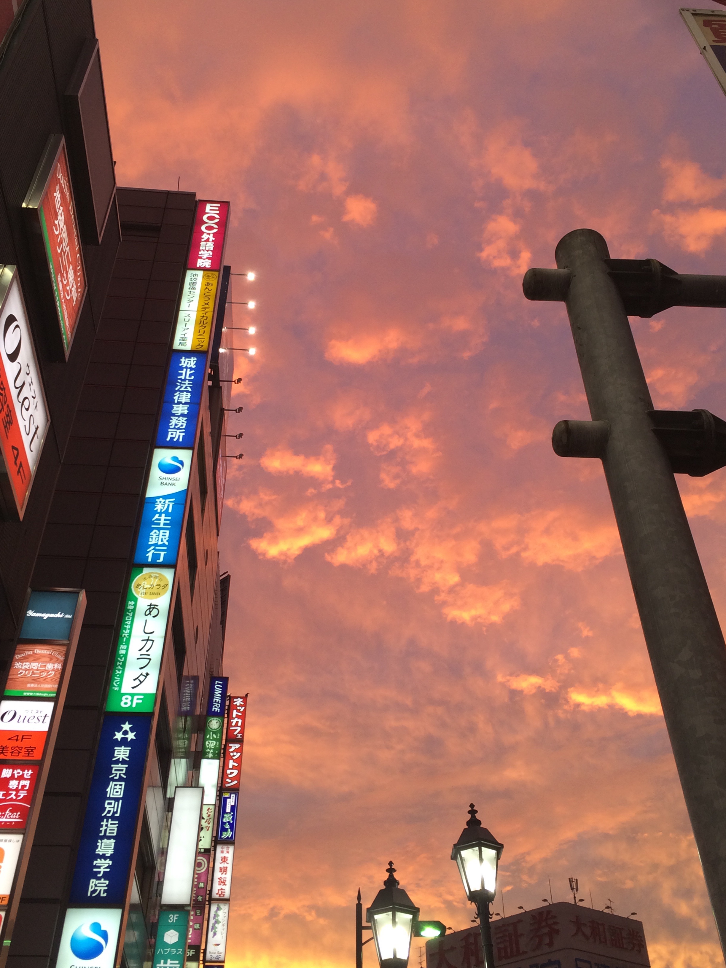 髪の大敵 髪の大敵