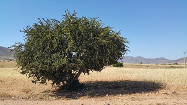 morocco-827830_640.jpg