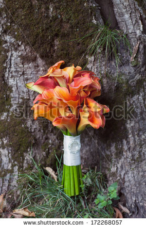 stock-photo-wedding-bouquet-orange-calla-172268057.jpg