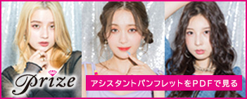 アシスタントパンフレットをPDFで見る